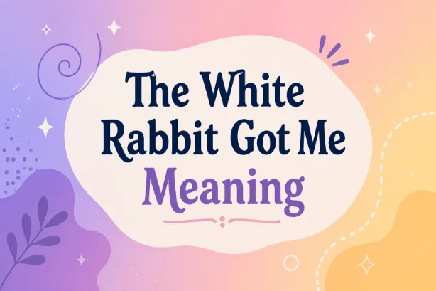 Rabbit