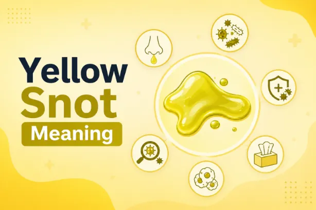  Snot 